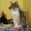 Отзыв от Дарья Панкратова